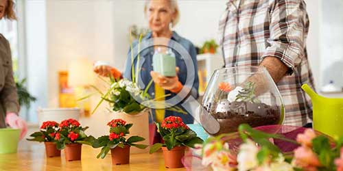 Les animations spéciales à la Villa Mandine proche de Nice